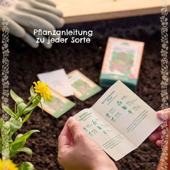 Unas manos sostienen instrucciones de plantación sobre un cantero, al fondo paquetes de semillas y guantes de jardinería, junto a una flor amarilla.