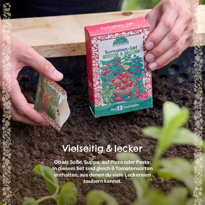Dos manos plantan semillas de tomate desde un kit de semillas con empaque en el suelo.