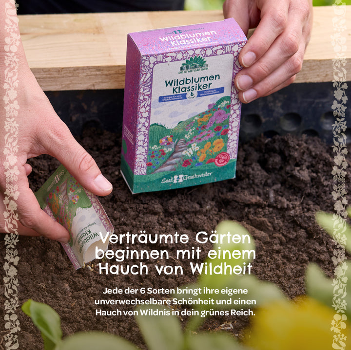 Una persona sostiene un colorido paquete de semillas "Wildflower Classics" sobre tierra fresca en un jardín; el texto describe las semillas de flores silvestres, enfatizando el carácter salvaje de los jardines de ensueño.