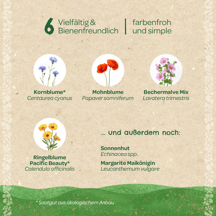 Ilustración con seis especies de flores amigables con las abejas: aciano, amapola, malva mixta, caléndula, equinácea y margarita, cada una con su nombre botánico en alemán y latín, presentado sobre un fondo beige.