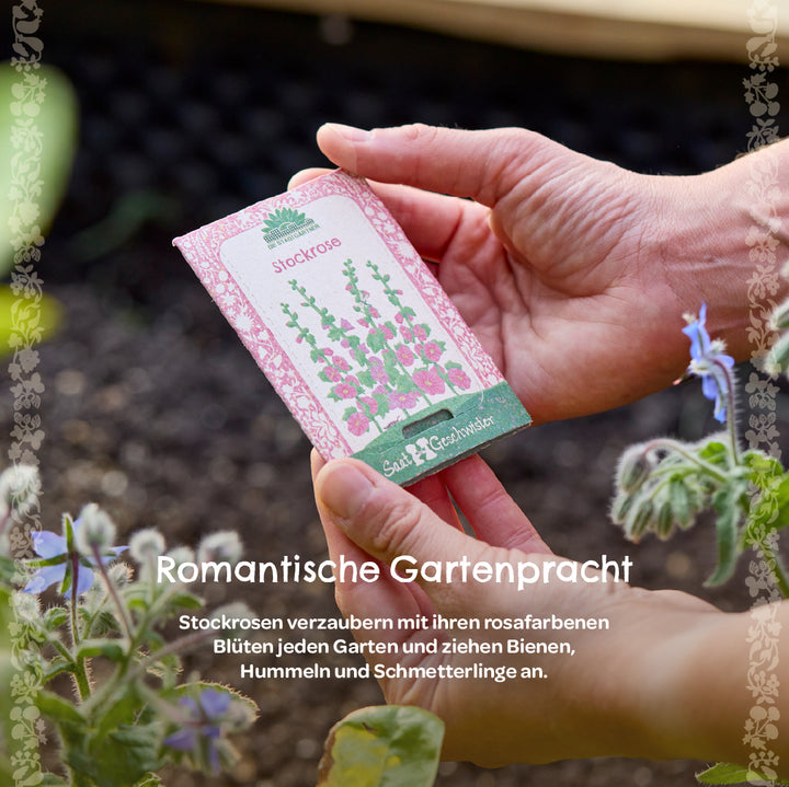 Una mano sostiene un paquete de semillas de malvarrosa frente a un cantero, con plantas y flores en primer plano.