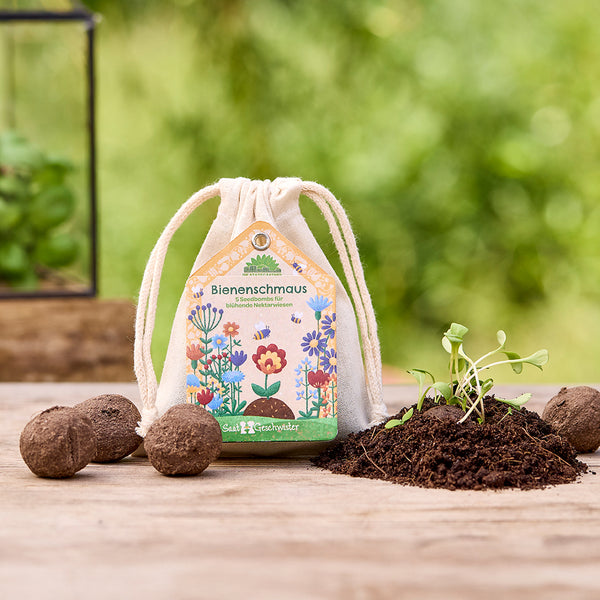 Bolsa etiquetada "Bee Feast" junto a bombas de semillas, tierra y plantas jóvenes en una mesa de madera al aire libre.
