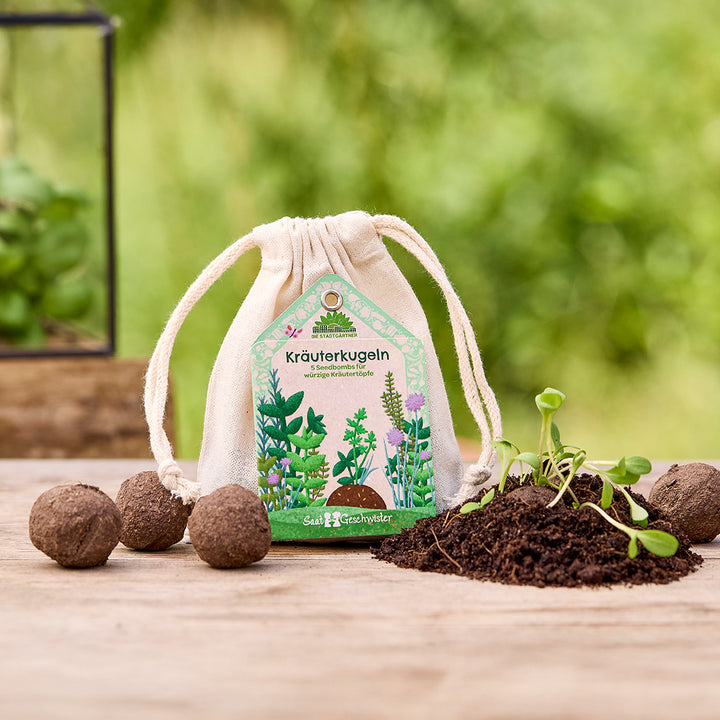 Bolsas de tela etiquetadas como "Bolas de hierbas" y que presentan ilustraciones de hierbas, rodeadas de bombas de semillas y brotes de plantas jóvenes sobre una mesa de madera.