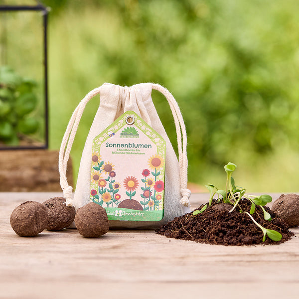 Bolsa de tela con bombas de semillas de girasol sobre una mesa de madera, al lado tierra con plántulas y más bombas de semillas, naturaleza verde al fondo.