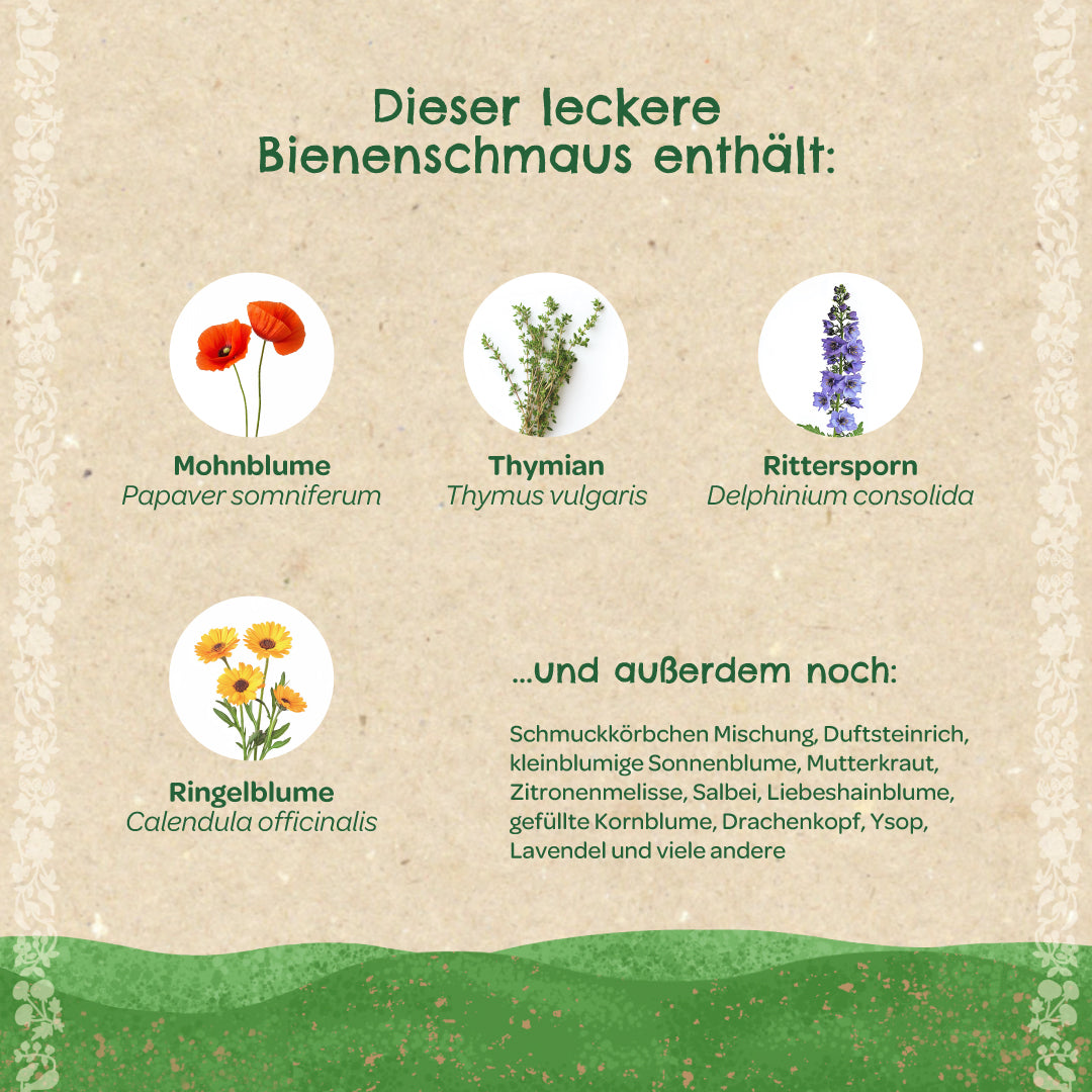 Alt="Gráfico con diversas plantas beneficiosas para las abejas: amapola (Papaver somniferum), tomillo (Thymus vulgaris), espuela de caballero (Delphinium consolida) y caléndula (Calendula officinalis). También se incluye una lista de otras especies de plantas."