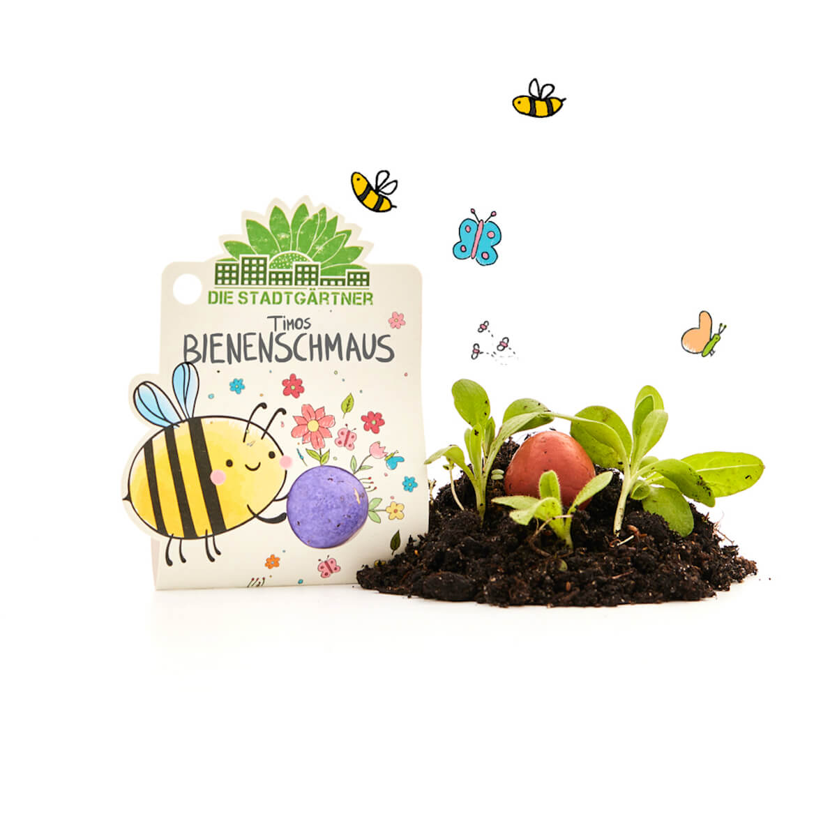 Kit de plantación con semillas, tierra y plántulas, decorado con un colorido dibujo de una abeja, flores y mariposas; la inscripción "Los jardineros de la ciudad - La fiesta de las abejas de Timo".