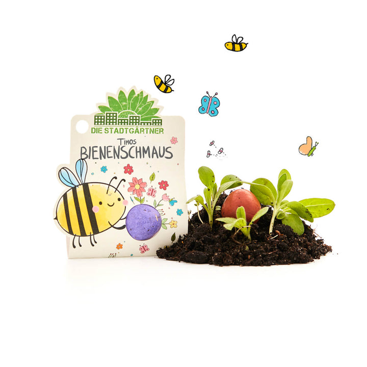 Kit de plantación con semillas, tierra y plántulas, decorado con un colorido dibujo de una abeja, flores y mariposas; la inscripción "Los jardineros de la ciudad - La fiesta de las abejas de Timo".