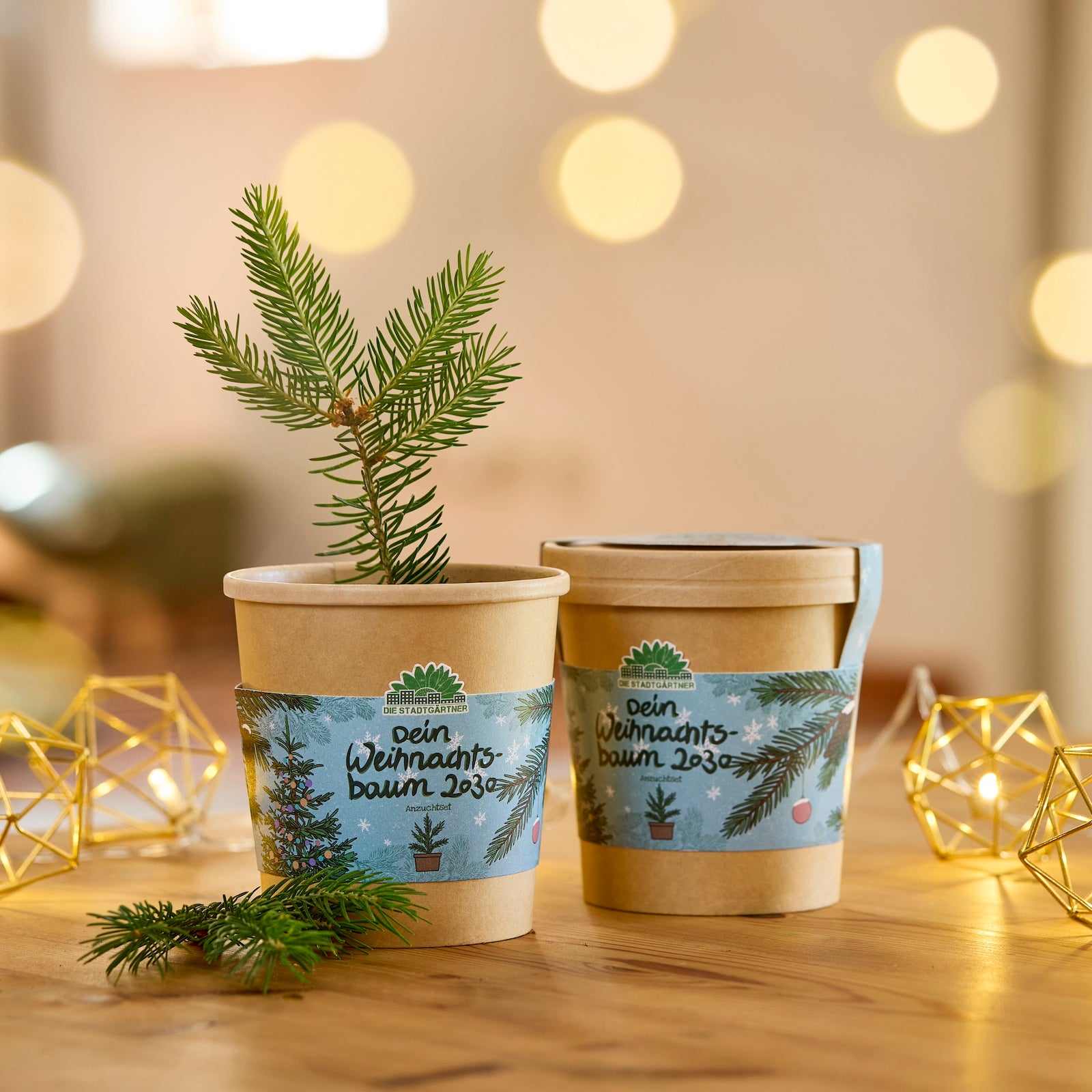 Dos macetas marrones con la inscripción "Tu árbol de Navidad 2030", una de ellas con una pequeña rama de abeto, sobre una mesa de madera con luces de cadena al fondo.