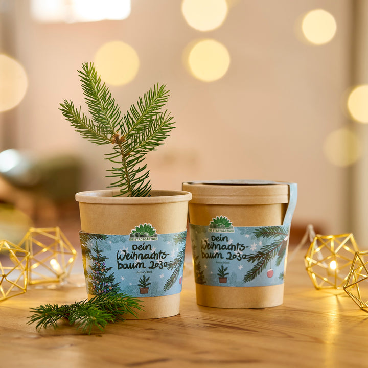 Dos macetas marrones con la inscripción "Tu árbol de Navidad 2030", una de ellas con una pequeña rama de abeto, sobre una mesa de madera con luces de cadena al fondo.