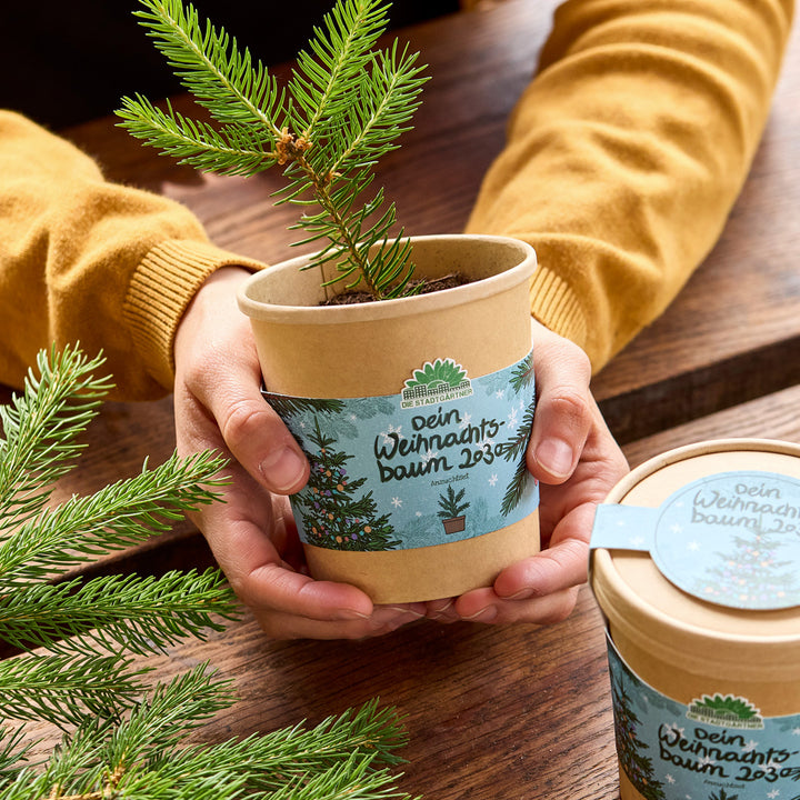 Dos manos sostienen una pequeña plántula de árbol de Navidad en una maceta marrón con una etiqueta "Tu árbol de Navidad 2023" sobre una mesa de madera.
