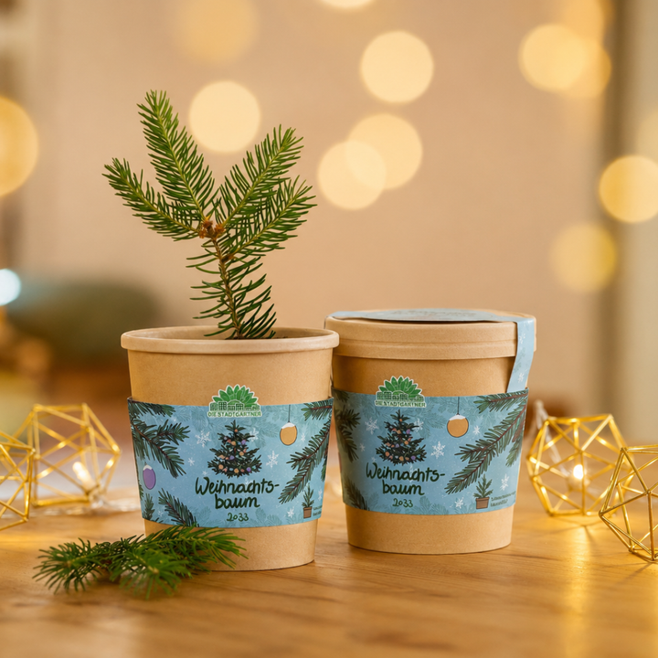 Árbol de Navidad 2033 hecho con un vaso