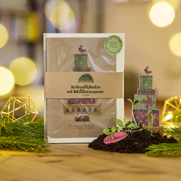 Conjunto de tarjetas navideñas con semillas de flores silvestres, motivos de regalo y una pequeña planta en el suelo, rodeada de ramas de abeto, en una habitación decorada para Navidad.