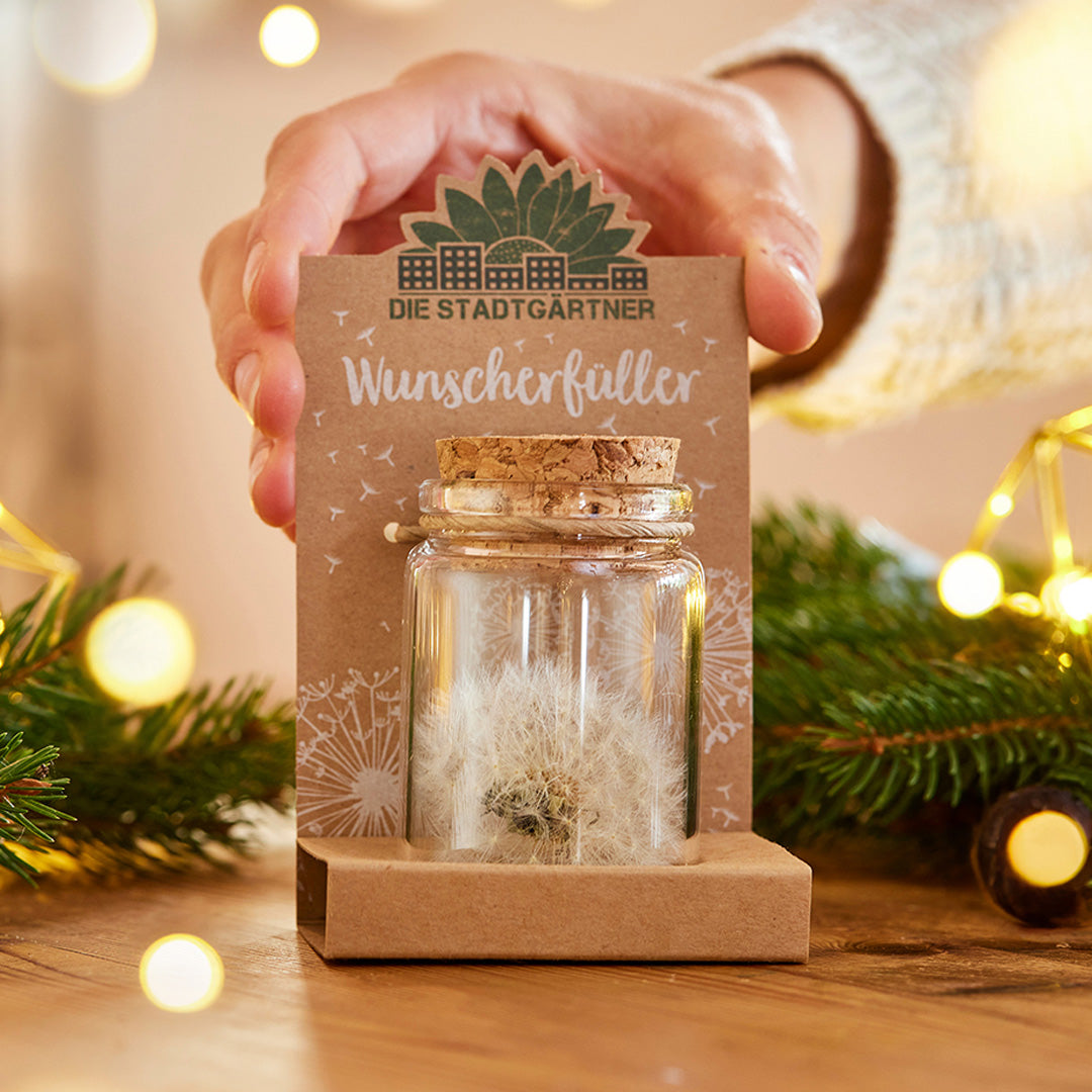 Una mano sostiene una botella de vidrio que contiene deseos de diente de león, empaquetada decorativamente con la inscripción "Wish Fulfiller" de Die Stadtgärtner; en el fondo hay luces navideñas y ramas de abeto.