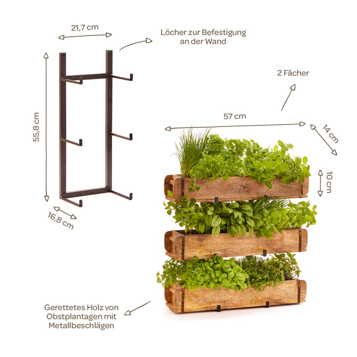 Estante de pared de metal y madera, dimensiones y detalles etiquetados en alemán, con compartimentos de madera plantados para hierbas.