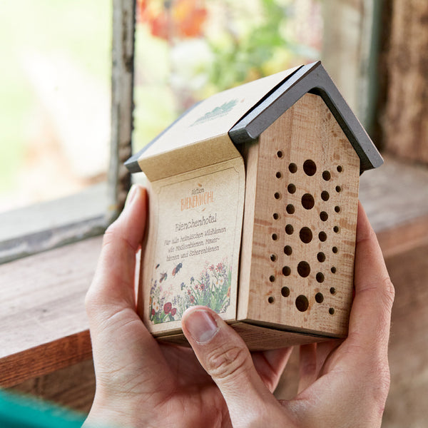 Una mano sostiene un pequeño hotel de madera para insectos con muchos agujeros frente a una ventana.