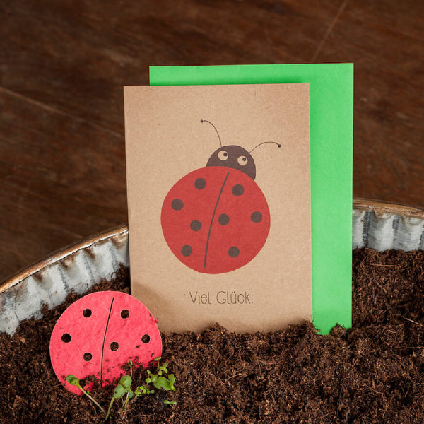 Tarjeta de felicitación con diseño de mariquita y las palabras "¡Buena suerte!" en el suelo.