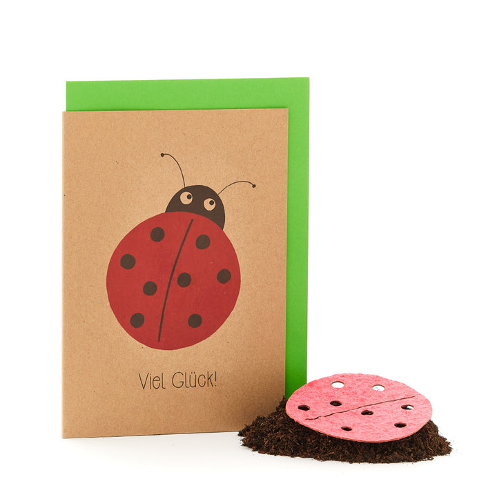 Tarjeta de felicitación con motivo de mariquita y la inscripción "¡Buena suerte!" junto a un pequeño montón de tierra con una piedra de mariquita encima.