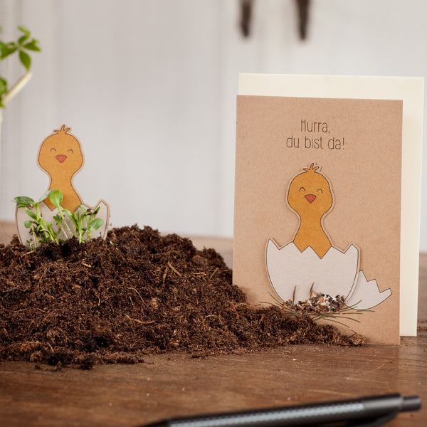 Divertida tarjeta de felicitación con motivos de pollitos y el texto "¡Hurra, estás aquí!", colocado sobre un montón de tierra.