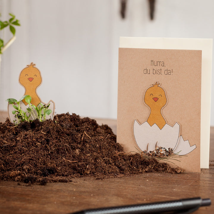 Divertida tarjeta de felicitación con motivos de pollitos y el texto "¡Hurra, estás aquí!", colocado sobre un montón de tierra.