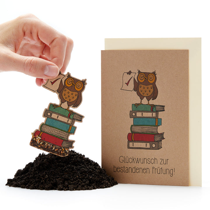 Mano sosteniendo una figura de papel de un búho sobre una pila de libros, junto a una tarjeta de felicitación con motivo de búho y el texto "Felicitaciones por aprobar el examen".