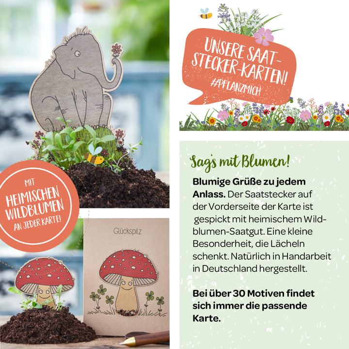 Publicidad de tarjetas con semillas que presentan flores silvestres nativas, incluido un elefante y un hongo de la suerte de papel clavado en el suelo.
