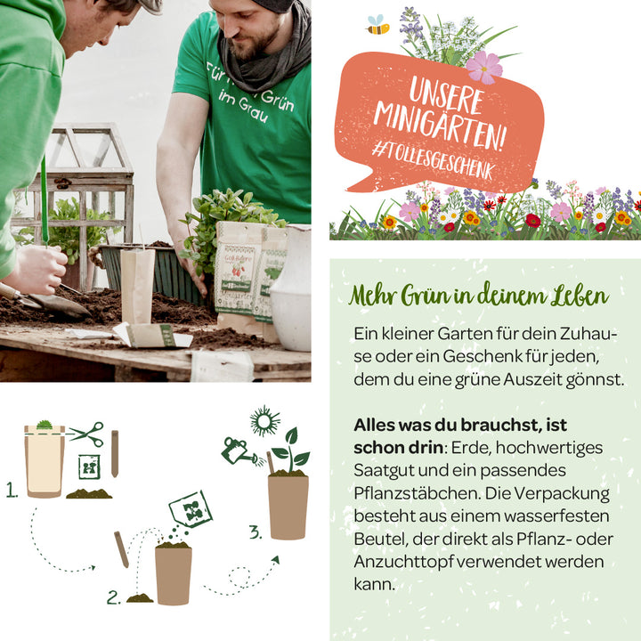 Dos personas plantan plántulas en jardines en miniatura, acompañadas de ilustraciones instructivas y texto publicitario para kits de jardinería.