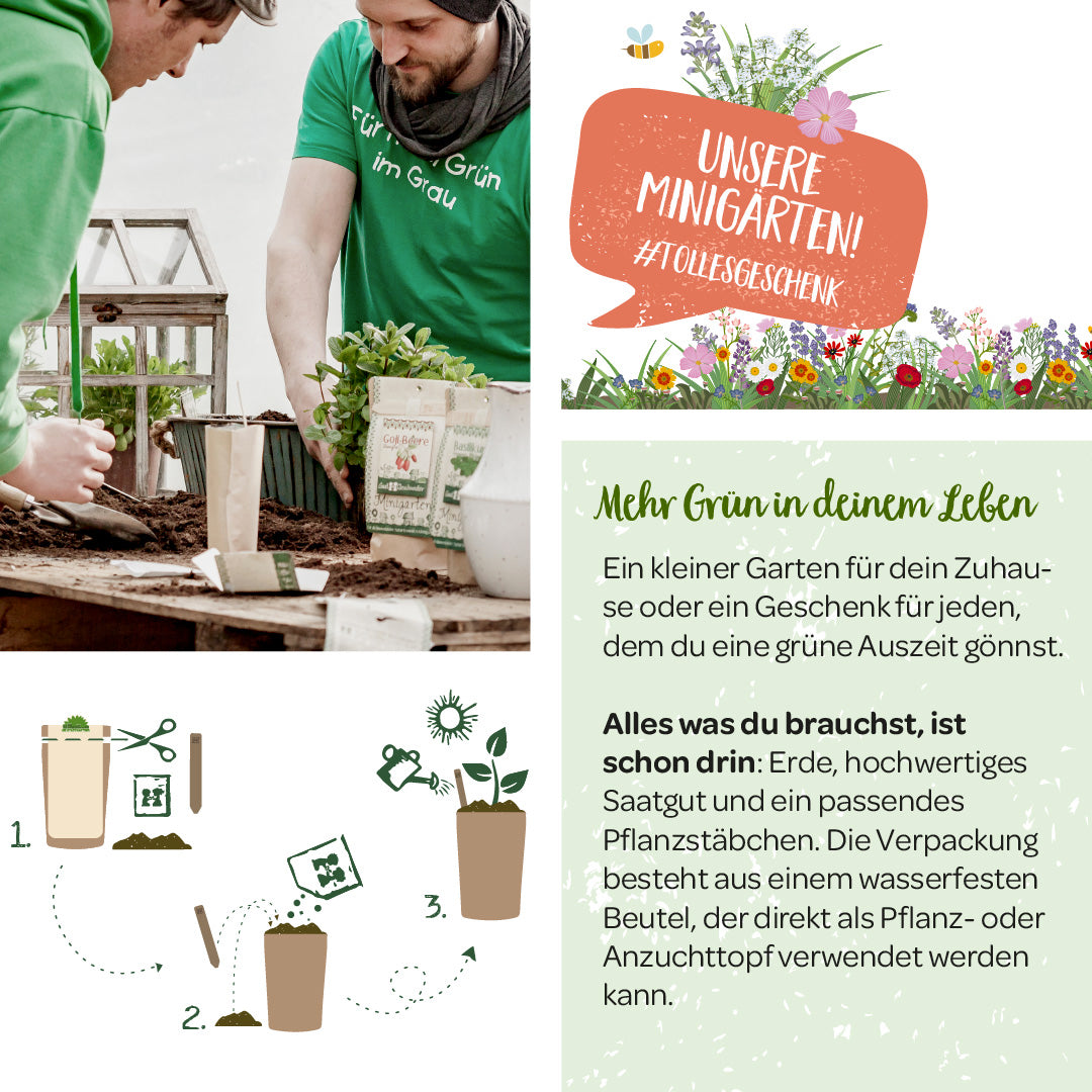 Dos personas plantando juntas un pequeño invernadero, al lado hay un anuncio de mini jardines e instrucciones para plantar.