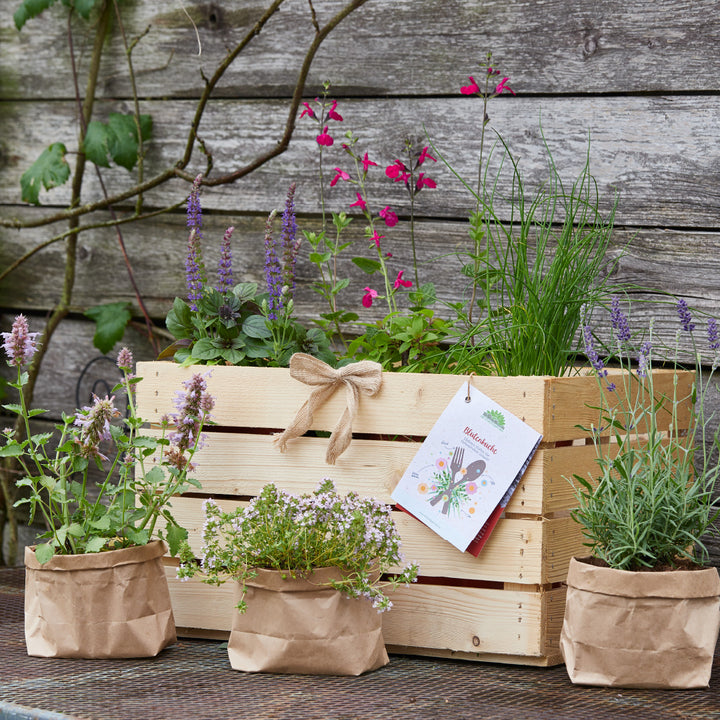 Caja de madera con diversas hierbas, delante tres plantas en bolsas de papel marrón, al fondo una pared de madera cubierta de hiedra"