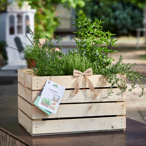 Caja de madera con varias hierbas y cinta sobre mesa de exterior.