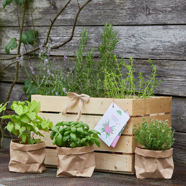 Jardín de hierbas en una caja de madera y bolsas de papel en una terraza de madera.
