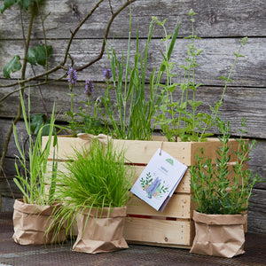 Jardín de hierbas en una caja de madera y dos bolsas de papel frente a una pared de madera.