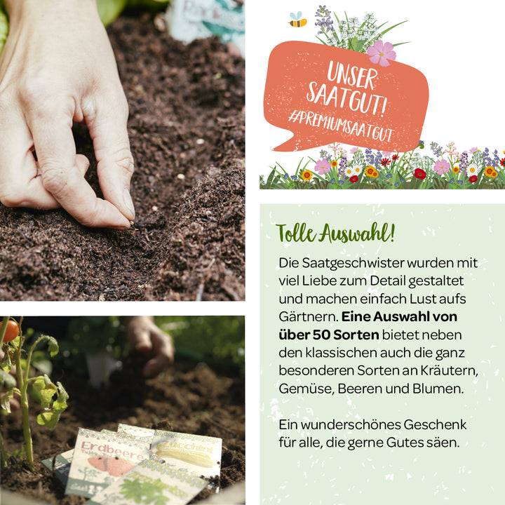 Plantación manual de semillas en el suelo, publicidad de semillas premium, jardinería, texto sobre selección y calidad de semillas.
