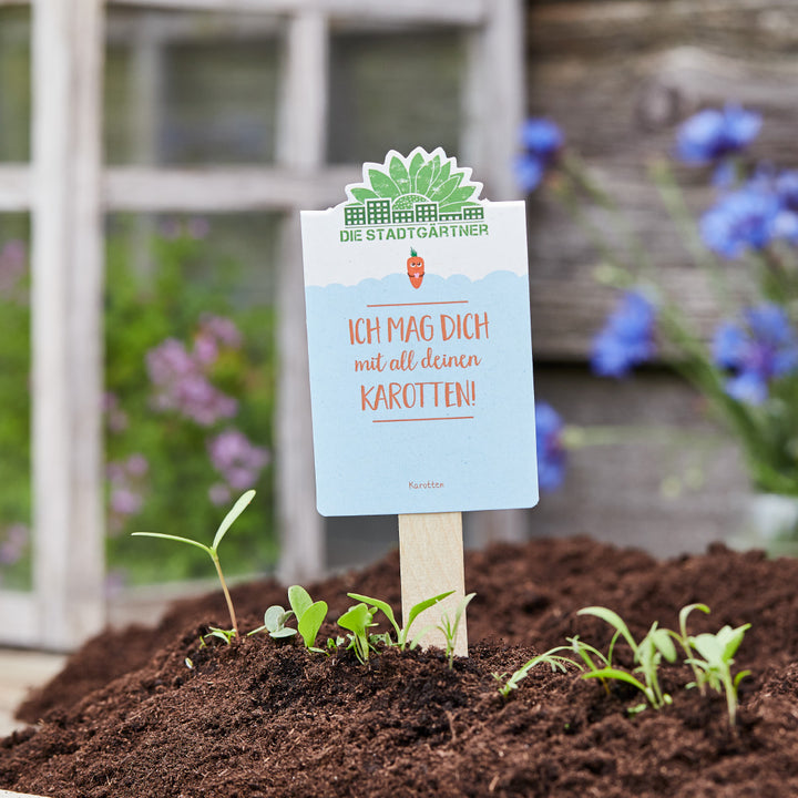 Cartel que dice "¡Te amo con todas tus zanahorias!" en un cantero del jardín.