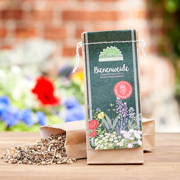 Bolsa de semillas para prado de abejas con semillas de flores sobre un fondo de jardín borroso.