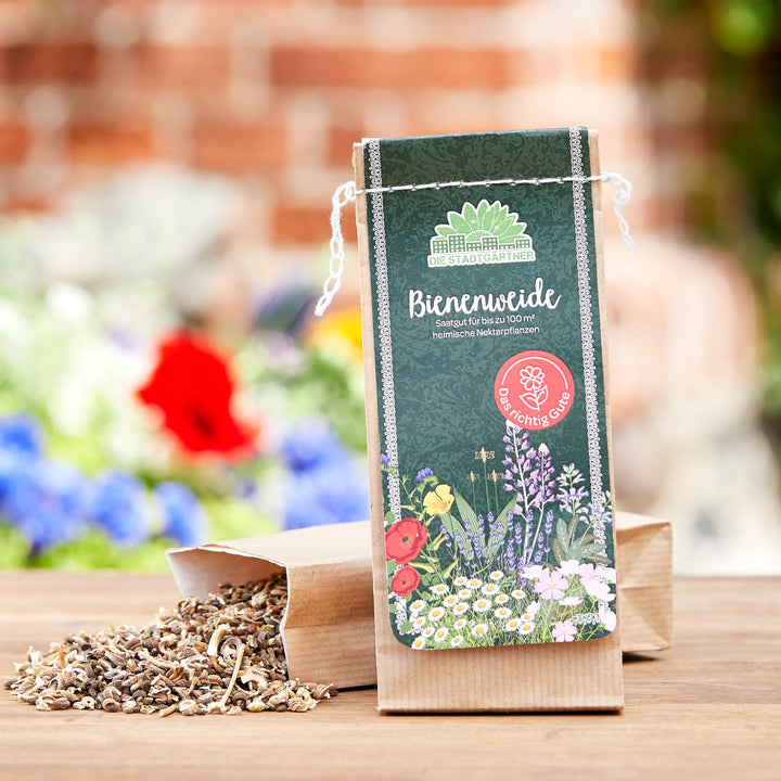 Bolsa de semillas para prado de abejas con semillas de flores sobre un fondo de jardín borroso.