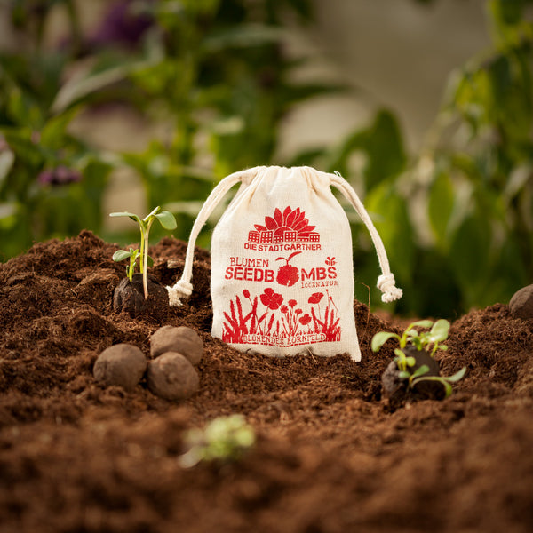 Plantas germinando y bombas de semillas junto a una bolsa de tela impresa con tierra fértil.