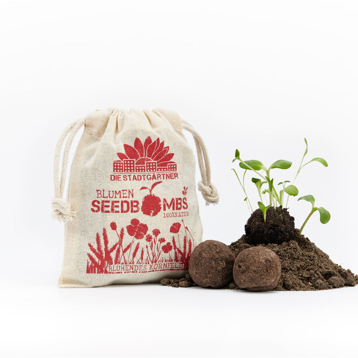 Bolsa de lino con estampado de ‘semillas de flores’ junto a plantas en germinación y bombas de semillas sobre un fondo blanco.