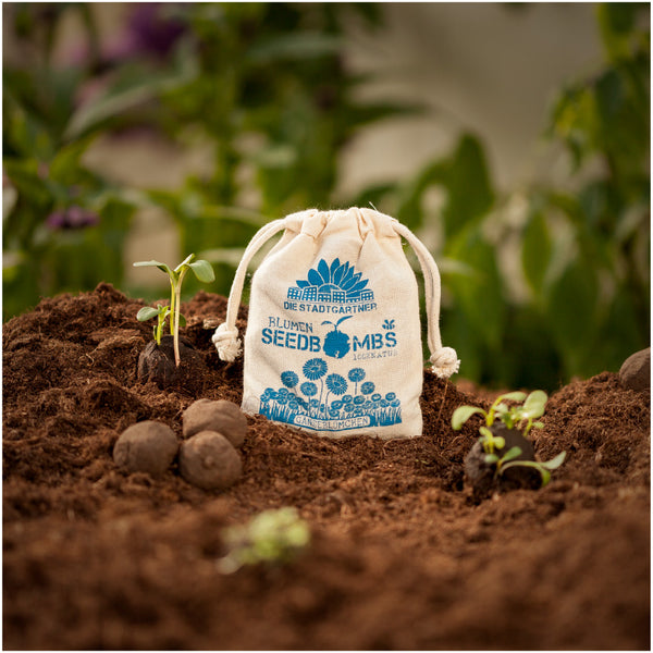 Bolsa de semillas de "Seedbombs" de los jardineros de la ciudad sobre tierra fértil con plántulas y tierra para macetas.