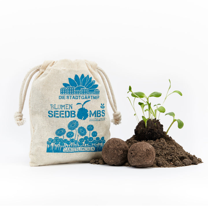 Las plántulas crecen en un montículo de tierra junto a bombas de semillas y una bolsa etiquetada "BOMBAS DE SEMILLAS DE FLORES DE LOS JARDINEROS DE LA CIUDAD MARGARITAS 100 % NATURALES".