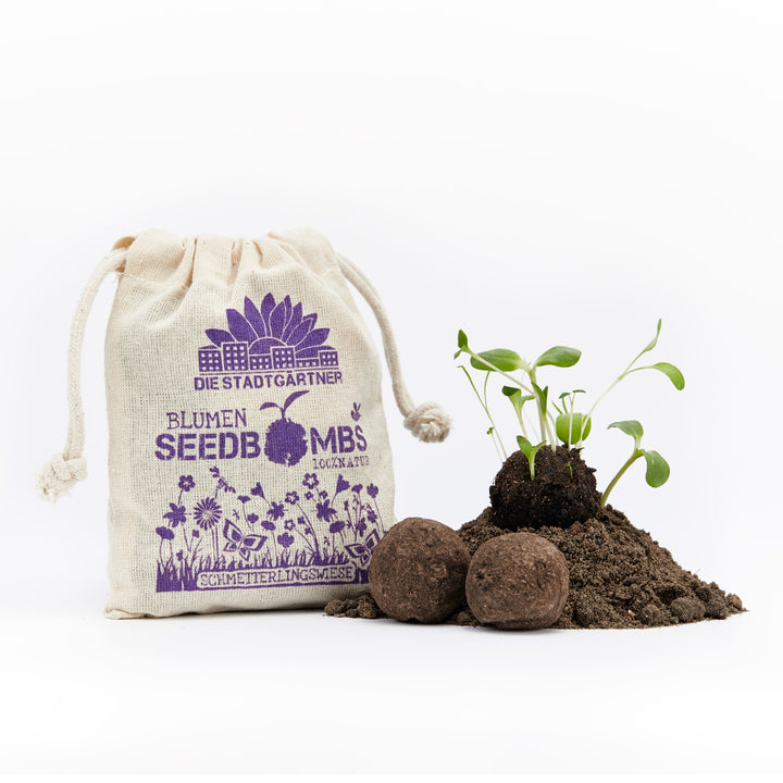 Plantas germinando en un montículo de tierra junto a bombas de semillas y una bolsa de tela impresa.
