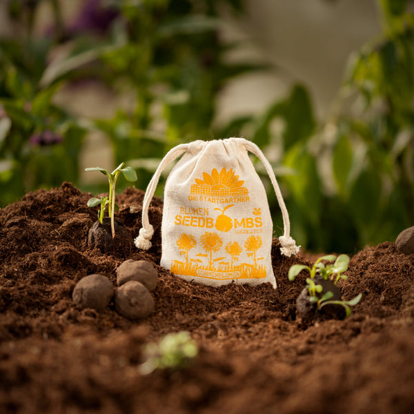 Bolsa de tela con la inscripción 'Bombas de semillas de flores de The City Gardeners' junto a plantas germinando en tierra fértil.