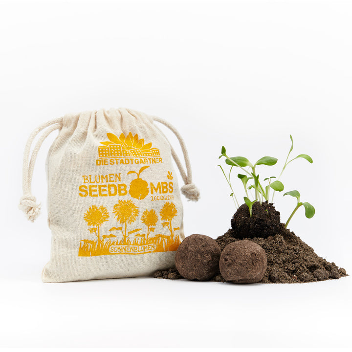 Una bolsa etiquetada "FLORES, SEMILLAS, GIRASOLES" junto a plántulas y bombas de semillas en el suelo.