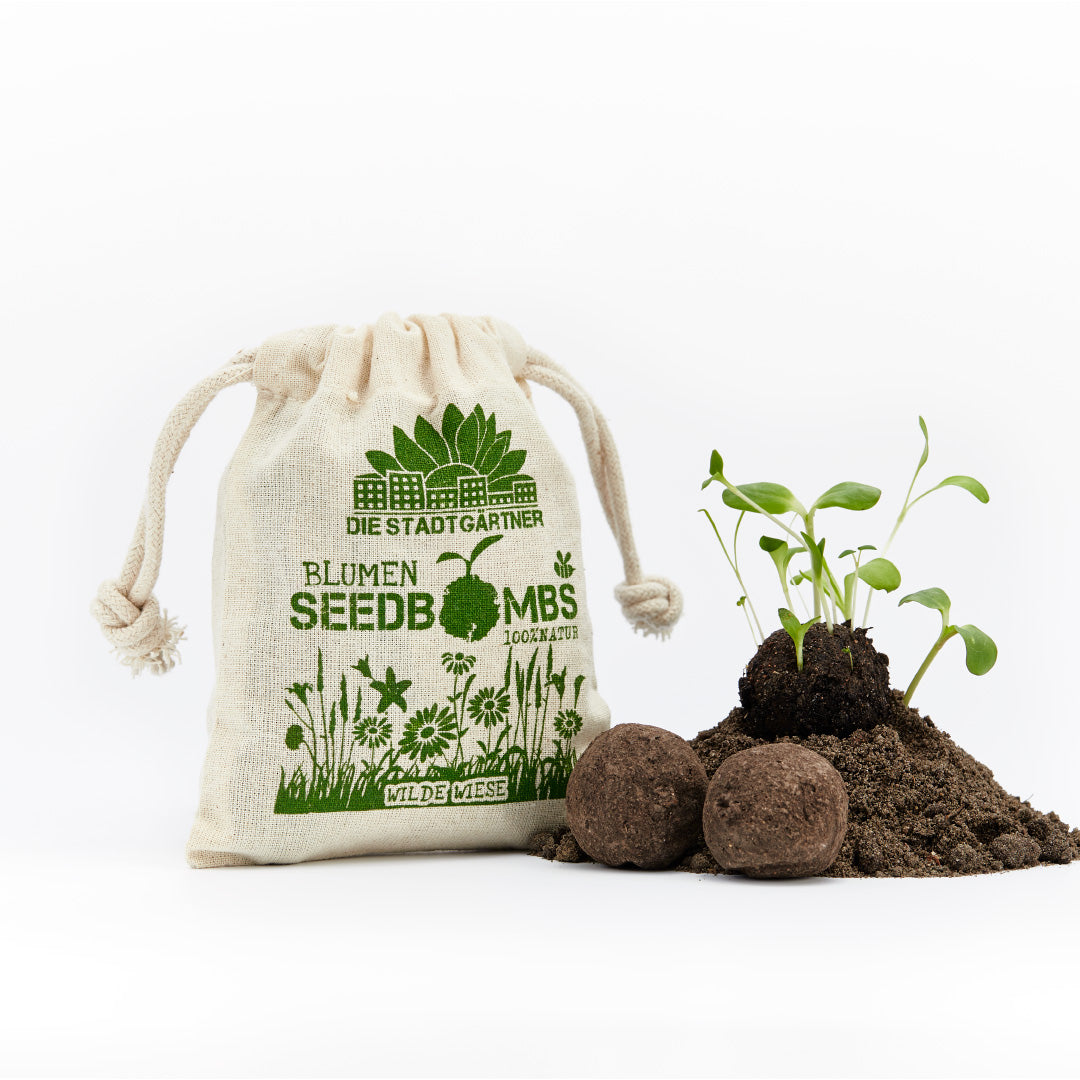 Bolsa de tela con estampado “The City Gardeners Flower Seedbombs” junto a tierra y plantas germinando.