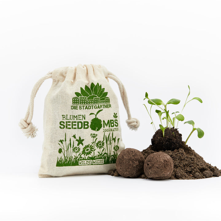 Bolsa de tela con estampado “The City Gardeners Flower Seedbombs” junto a tierra y plantas germinando.