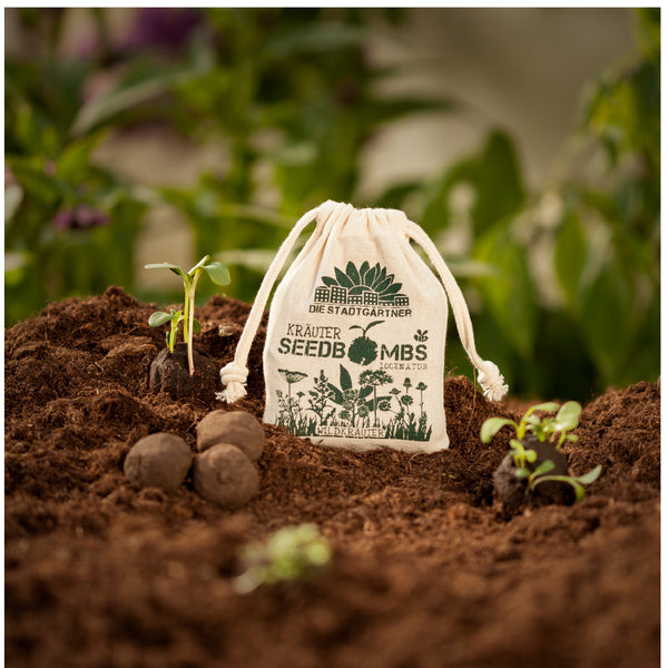 Una bolsa etiquetada como “Bombas de semillas” junto a plantas en germinación y bolas de semillas en tierra fértil con plantas borrosas en el fondo.