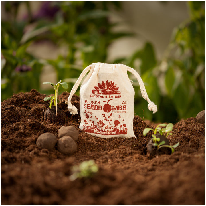 Una bolsa etiquetada "Bombas de semillas de flores" en tierra fértil junto a plántulas y bombas de semillas.
