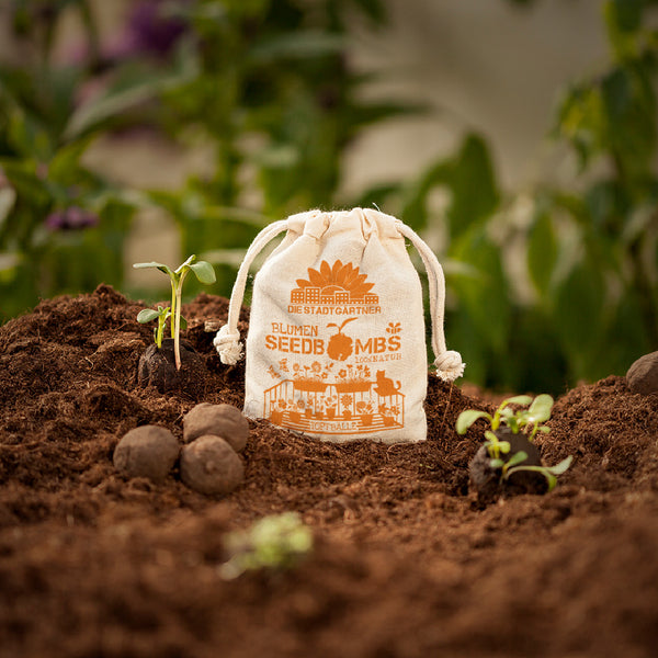 Una bolsa etiquetada "Bombas de semillas de flores" se encuentra sobre tierra fértil junto a plántulas y bolas de bombas de semillas.
