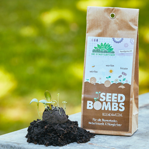 Embalaje con “bombas de semillas” junto a un montículo de tierra con brotes de plantas jóvenes, concepto de jardinería sostenible.