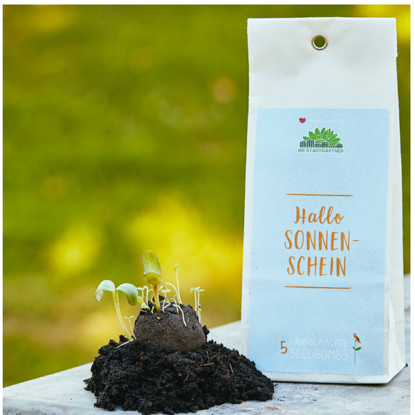 Bombas de semillas germinando junto a un paquete con la inscripción 'Hola Sol'