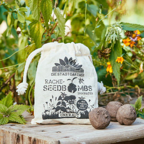 Bolsa de tela con la inscripción 'The City Gardeners Seedbombs' junto a tres bombas de semillas sobre una tabla de madera, rodeadas de vegetación.